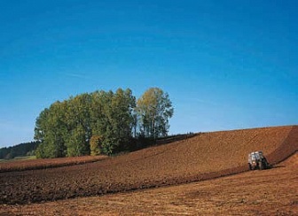 Ламадор Про, КС