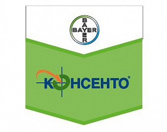 Консенто, КС
