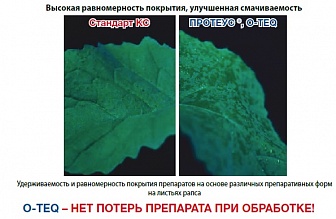 Биская, МД