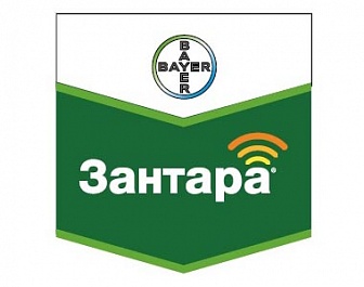 Зантара, КЭ