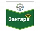 Зантара, КЭ