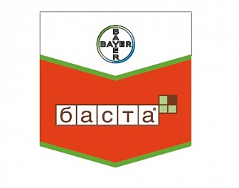 Баста, ВР