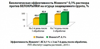 Мовенто, КС