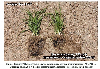 Ламадор Про, КС