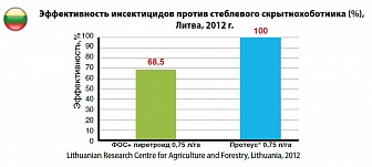 Протеус, МД