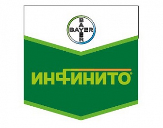 Инфинито, КС