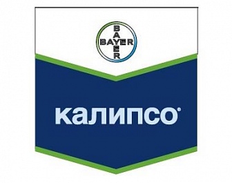 Калипсо , КС