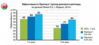 Протеус, МД