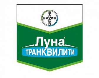 Луна Транквилити, КС