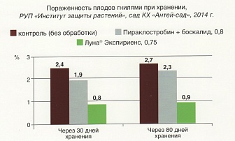 Луна Экспириенс, КС