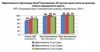 Луна Транквилити, КС