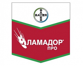 Ламадор Про, КС