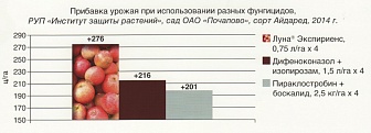 Луна Экспириенс, КС
