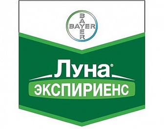 Луна Экспириенс, КС
