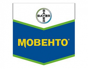Мовенто, КС