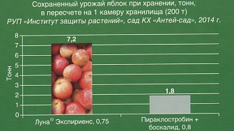 Луна Экспириенс, КС