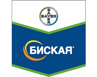 Биская, МД